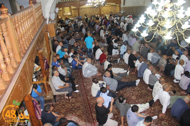 3ed ad7a mahmoudaia (14).JPG